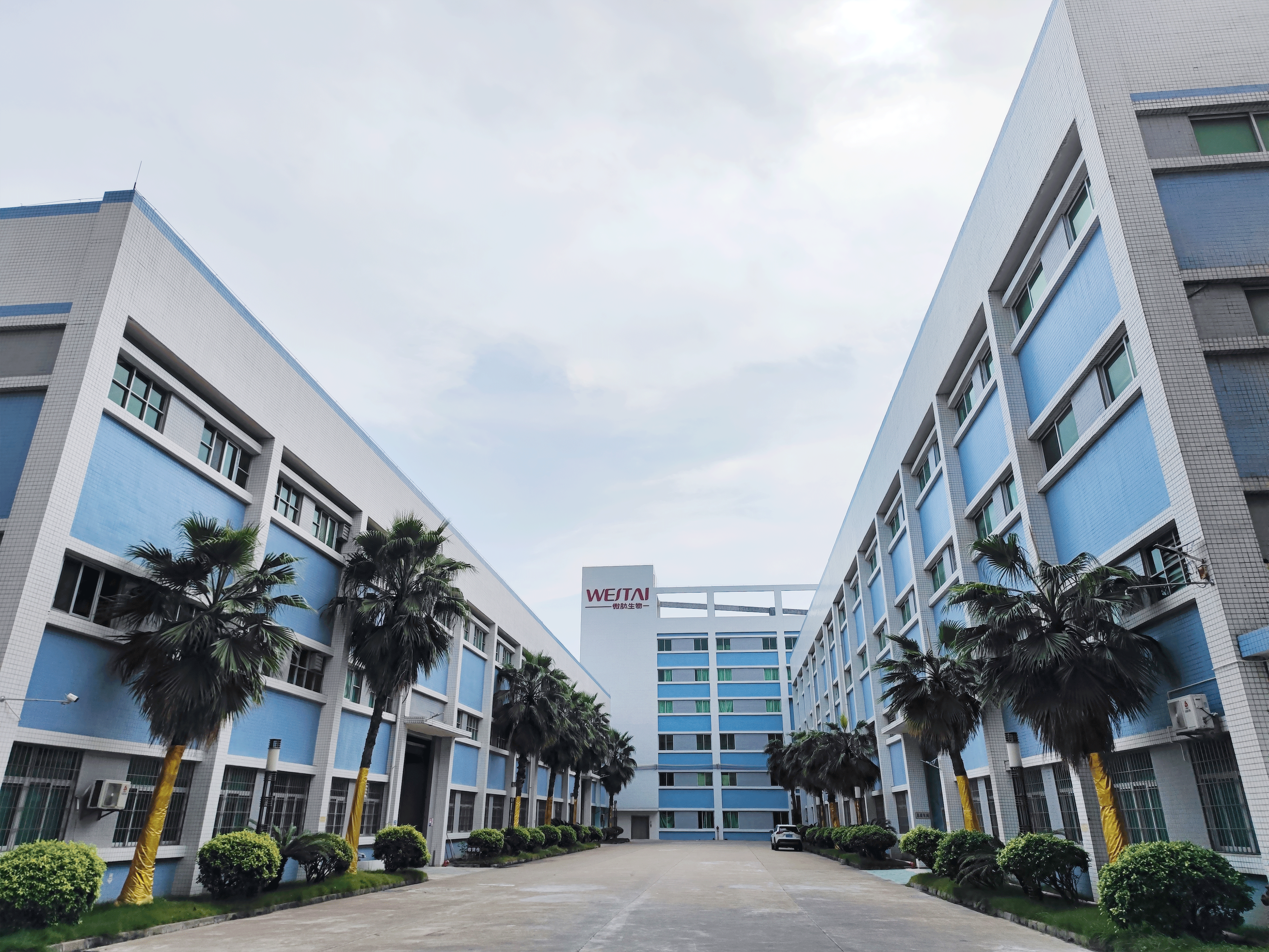 25年積淀，3天-15天快速響應(yīng)：微肽生物，功效護(hù)膚的可靠智造伙伴